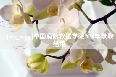 江阴中国消防救援学院2020年录取结果