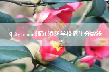 江阴浙江消防学校招生分数线