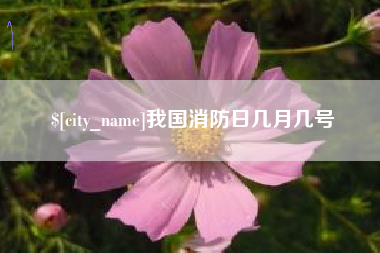 江阴我国消防日几月几号