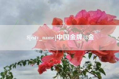 江阴中国金牌18金
