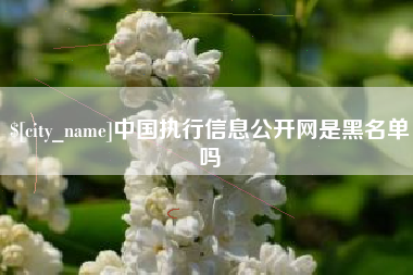 江阴中国执行信息公开网是黑名单吗