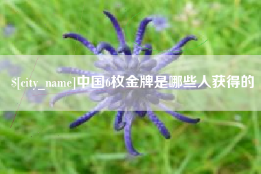 江阴中国6枚金牌是哪些人获得的
