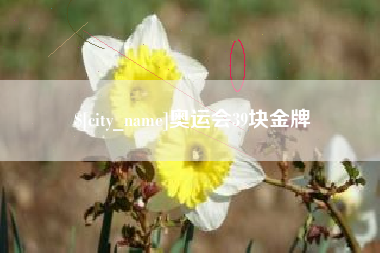 江阴奥运会39块金牌