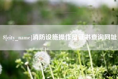 江阴消防设施操作员证书查询网址