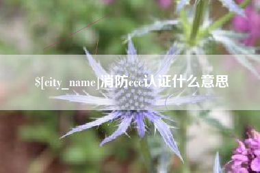 江阴消防ccc认证什么意思