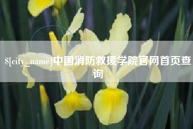 江阴中国消防救援学院官网首页查询