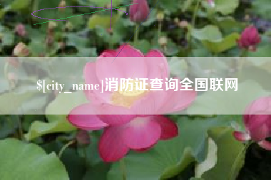 江阴消防证查询全国联网