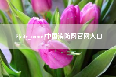 江阴中国消防网官网入口