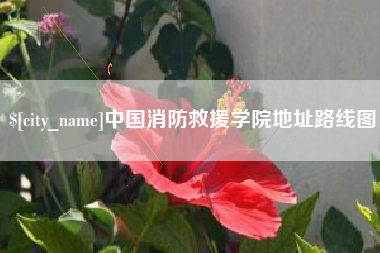 江阴中国消防救援学院地址路线图