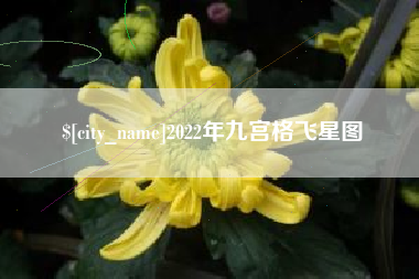 江阴2022年九宫格飞星图