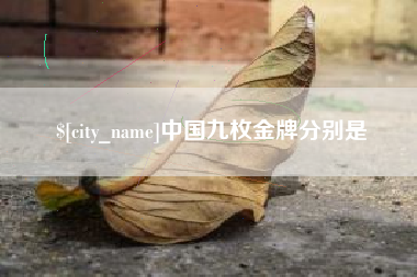 江阴中国九枚金牌分别是