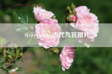 江阴古代九宫图片