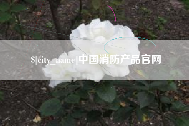 江阴中国消防产品官网