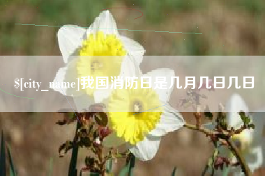 江阴我国消防日是几月几日几日