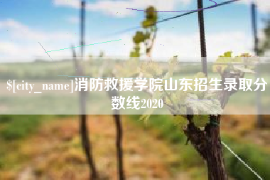 江阴消防救援学院山东招生录取分数线2020