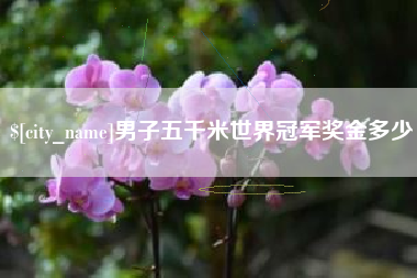 江阴男子五千米世界冠军奖金多少