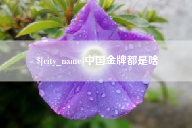 江阴中国金牌都是啥