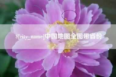 江阴中国地图全图带省份
