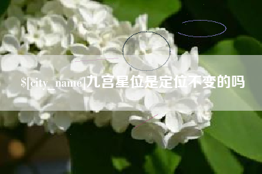 江阴九宫星位是定位不变的吗