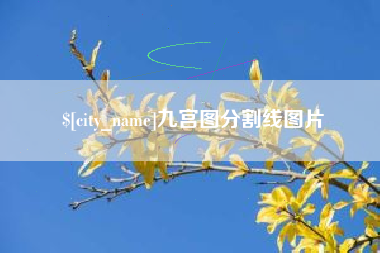 江阴九宫图分割线图片