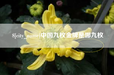 江阴中国九枚金牌是哪九枚