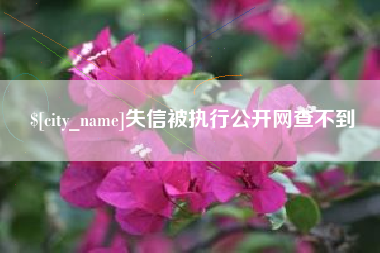 江阴失信被执行公开网查不到
