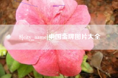 江阴中国金牌图片大全