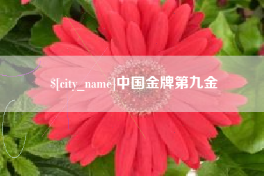江阴中国金牌第九金 江阴中国金牌第九金