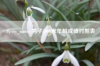 江阴男子5000米年龄成绩对照表