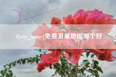 江阴免费卫星地图哪个好