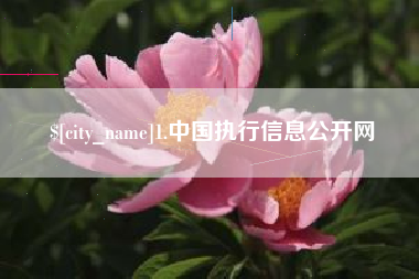 江阴1.中国执行信息公开网