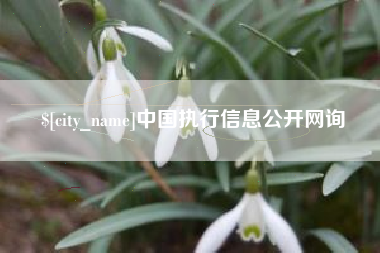 江阴中国执行信息公开网询