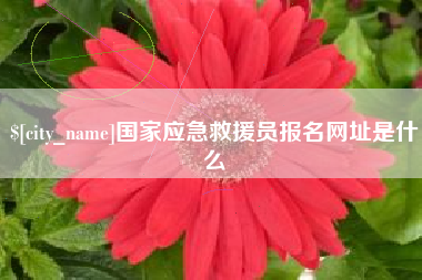 江阴国家应急救援员报名网址是什么