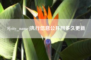江阴执行信息公开网多久更新
