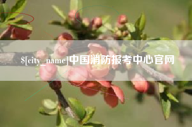 江阴中国消防报考中心官网
