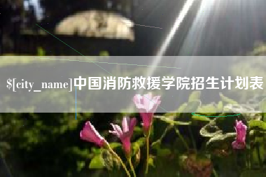江阴中国消防救援学院招生计划表