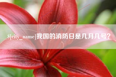 江阴我国的消防日是几月几号？