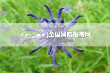 江阴全国消防招考网