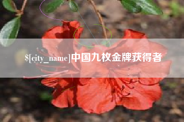 江阴中国九枚金牌获得者