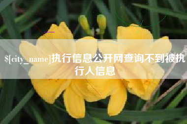 江阴执行信息公开网查询不到被执行人信息