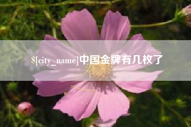 江阴中国金牌有几枚了
