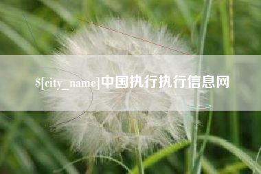 江阴中国执行执行信息网