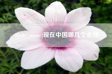 江阴现在中国哪几个金牌