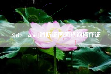 江阴消防证国网查询操作证