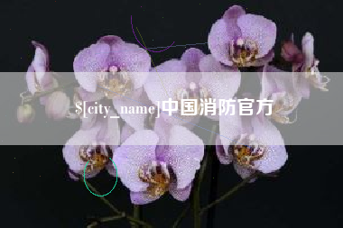 江阴中国消防官方
