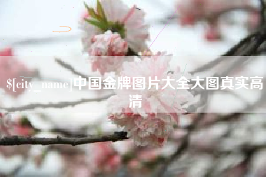 江阴中国金牌图片大全大图真实高清