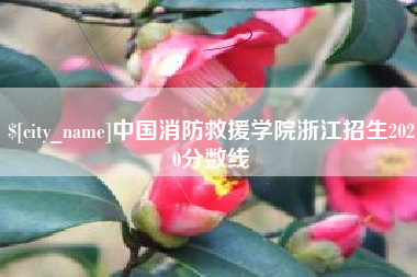 江阴中国消防救援学院浙江招生2020分数线