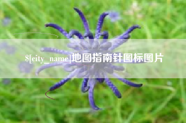江阴地图指南针图标图片