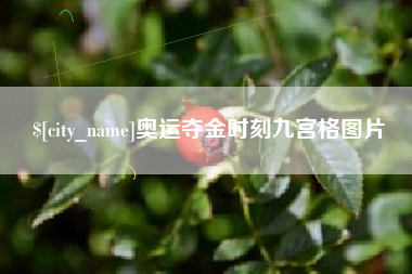 江阴奥运夺金时刻九宫格图片