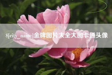 江阴金牌图片大全大图卡通头像